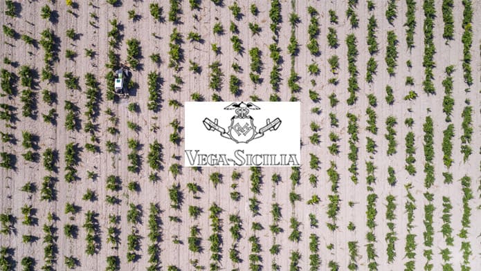 Which Vega Sicilia would make the best gift?