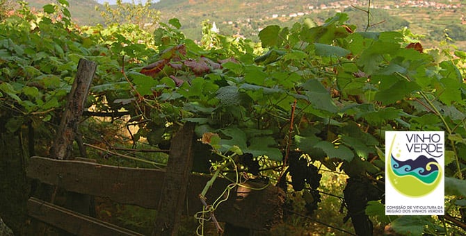 vinho verde