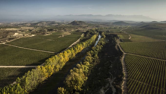 Rioja’s crianza red wines, the importance of aging