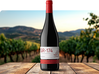 D.O.Q. Priorat
