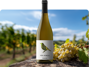 Chardonnay