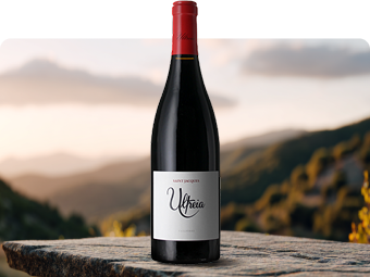 D.O. Bierzo