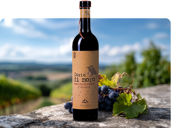 Montepulciano