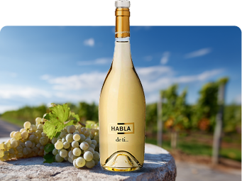 Sauvignon Blanc