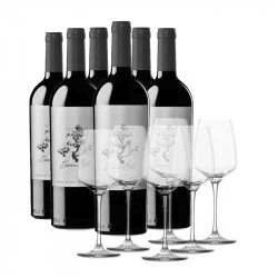 vinos-con-copas