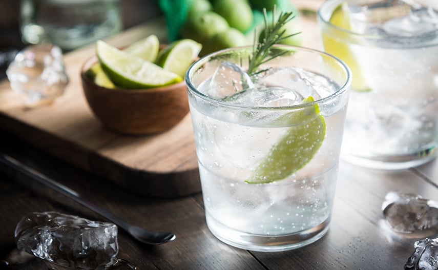 Der Gin Tonic (oder Gintonic): der modische Gin-Mix