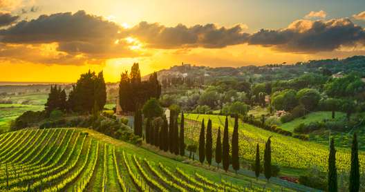 Tuscany wine
