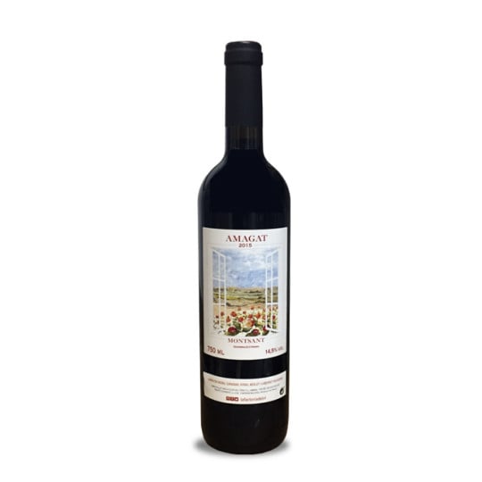 Clos De L'Ona Amagat 2016