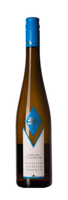 Forster Winzer Ungeheuer Selektion Riesling Seco