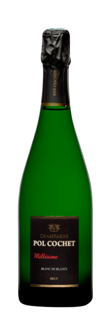 Pol Cochet Brut Blanc de Blancs