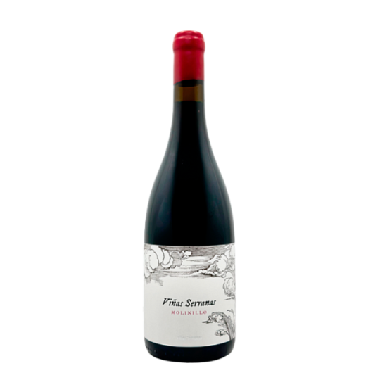 Molinillo 2023