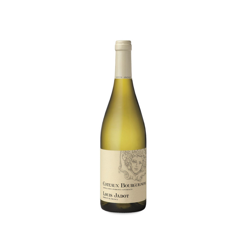 Louis Jadot Coteaux Bourguignons | Vivino US