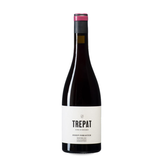 Josep Foraster Trepat 2025
