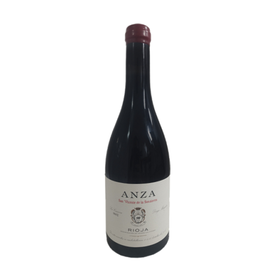 Anza San Vicente 2022