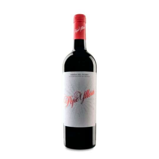 Pepe Yllera  2022 Outlet