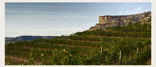 Vinos Pago de Carraovejas