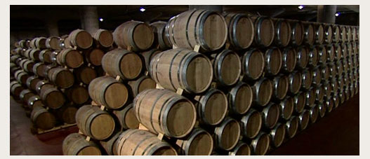 Vinos Protos - sala barricas