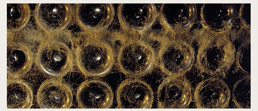 botellas tondonia