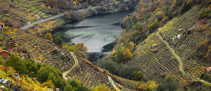 ribeira sacra orense