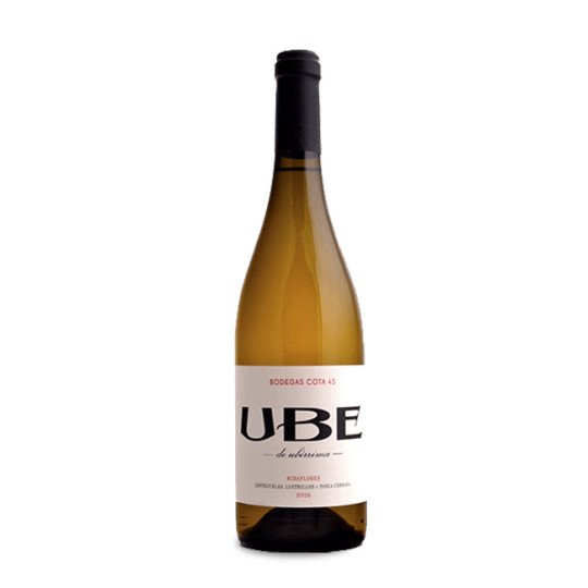 UBE Miraflores 2025