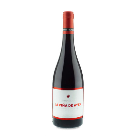 La Viña de Ayer Garnacha 2023