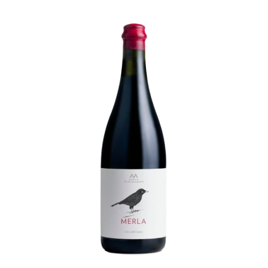 AUS Merla 2023