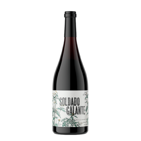 Soldado Galante 2024