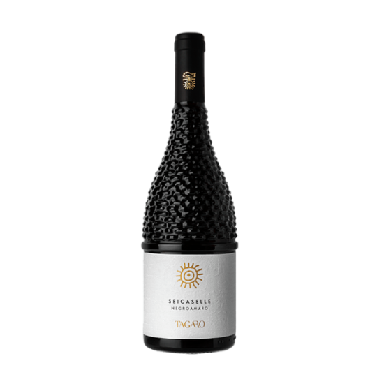 Tagaro Sei Caselle 2024
