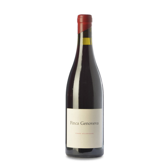 Finca Genoveva Caíño 2023