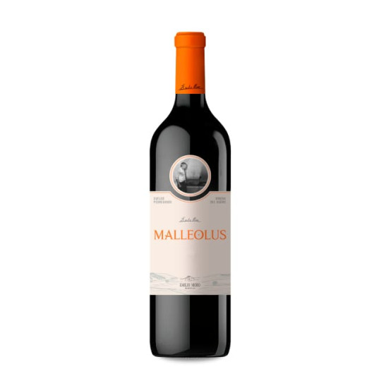 Emilio Moro Malleolus...