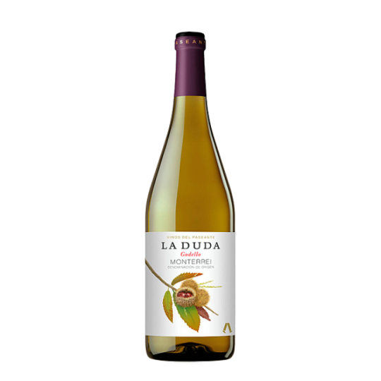 La Duda 2025
