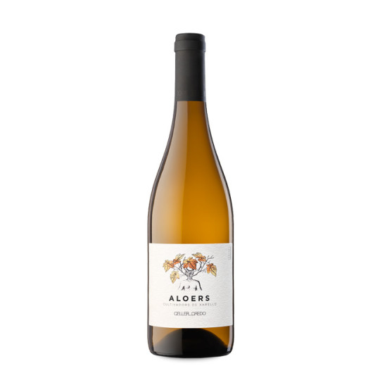 Aloers 2021