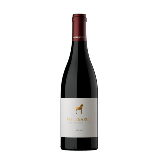 Vallegarcía Syrah 2023
