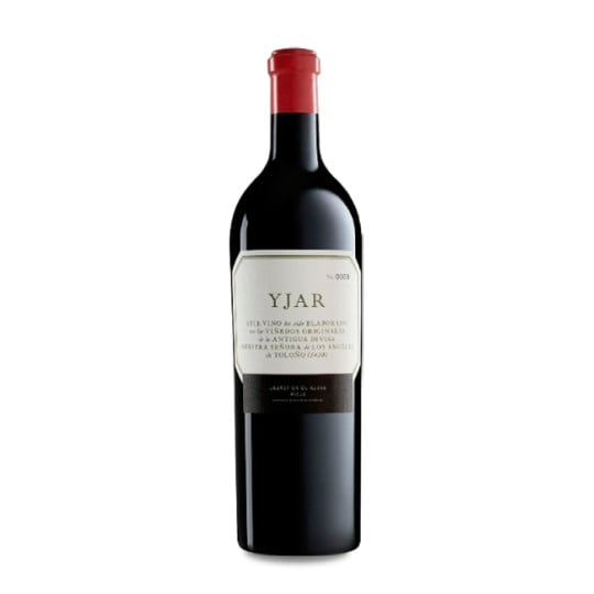 Yjar 2021