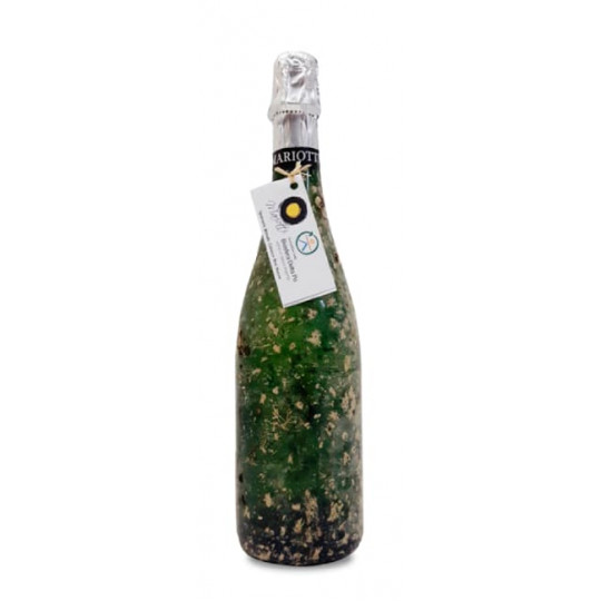 Mariotti Stella Maris Brut...