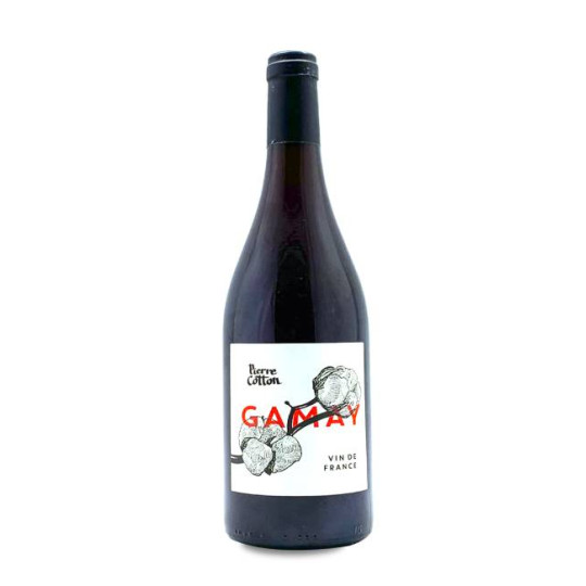 Bonnet Cotton Gamay  2023