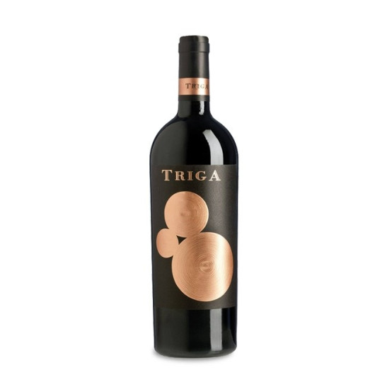 Triga 2021