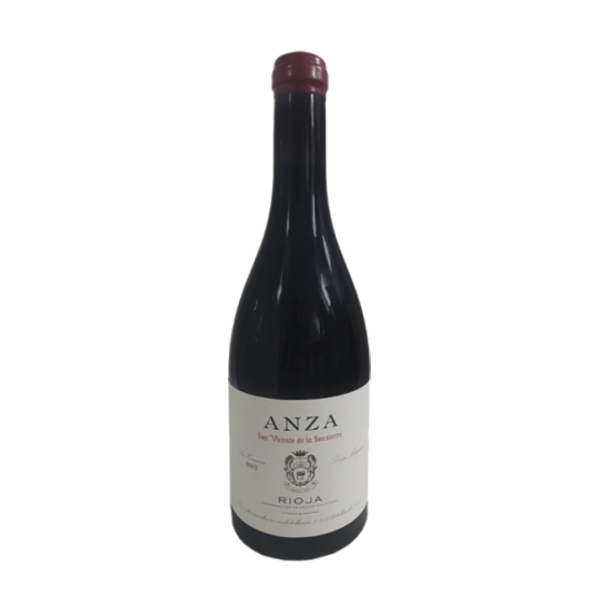 Anza San Vicente 2022