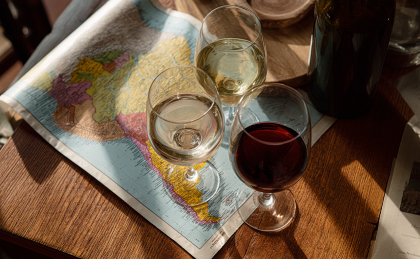 South American Wines: A Journey of Curiosity and Passion