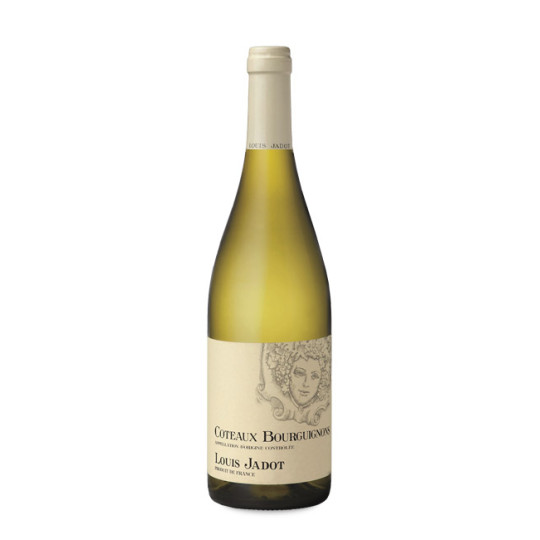 Louis Jadot Petit Chablis 2023 | Decántalo