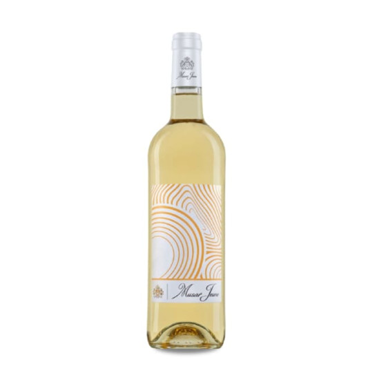 Musar Jeune White 2023