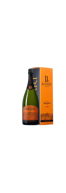 Box Magnum Llopart Integral Brut Nature