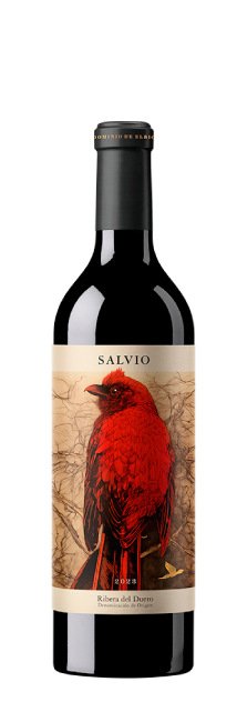 Dominio de Elbio Salvio 2023