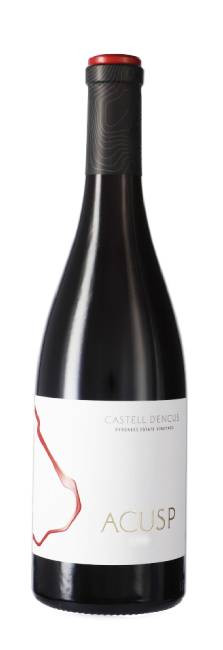 Castell d'Encús Acusp