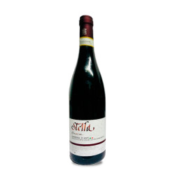 Barbera d'Asti D.o.c.g. Costalunga - Bersano