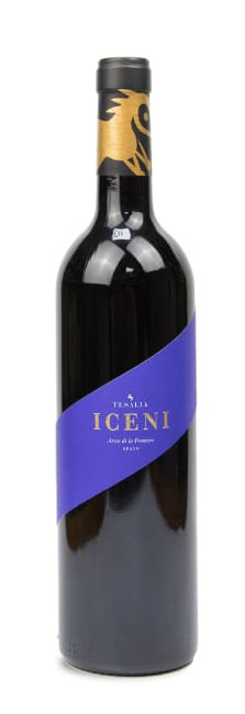 Tesalia Iceni