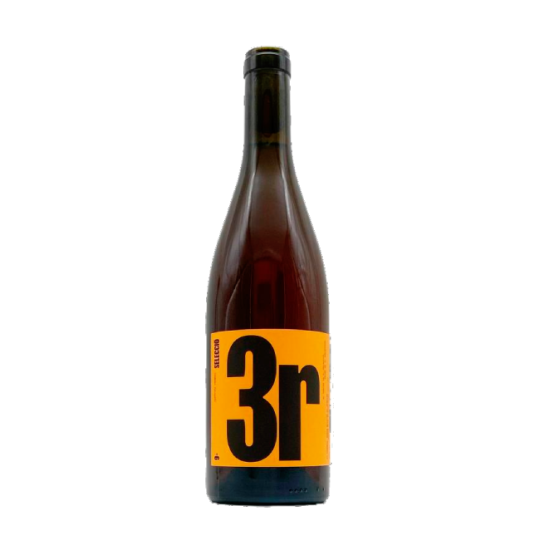 9+ Selecció 3R 2025
