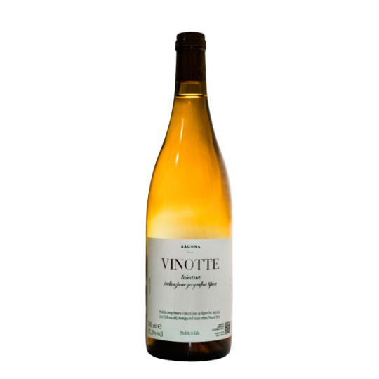 Sàgona ViNotte 2025