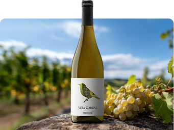 Chardonnay
